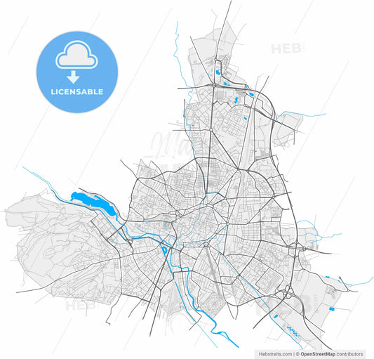 Dijon, Côte-d Or, France, high resolution vector map - Instant download PDF and JPG