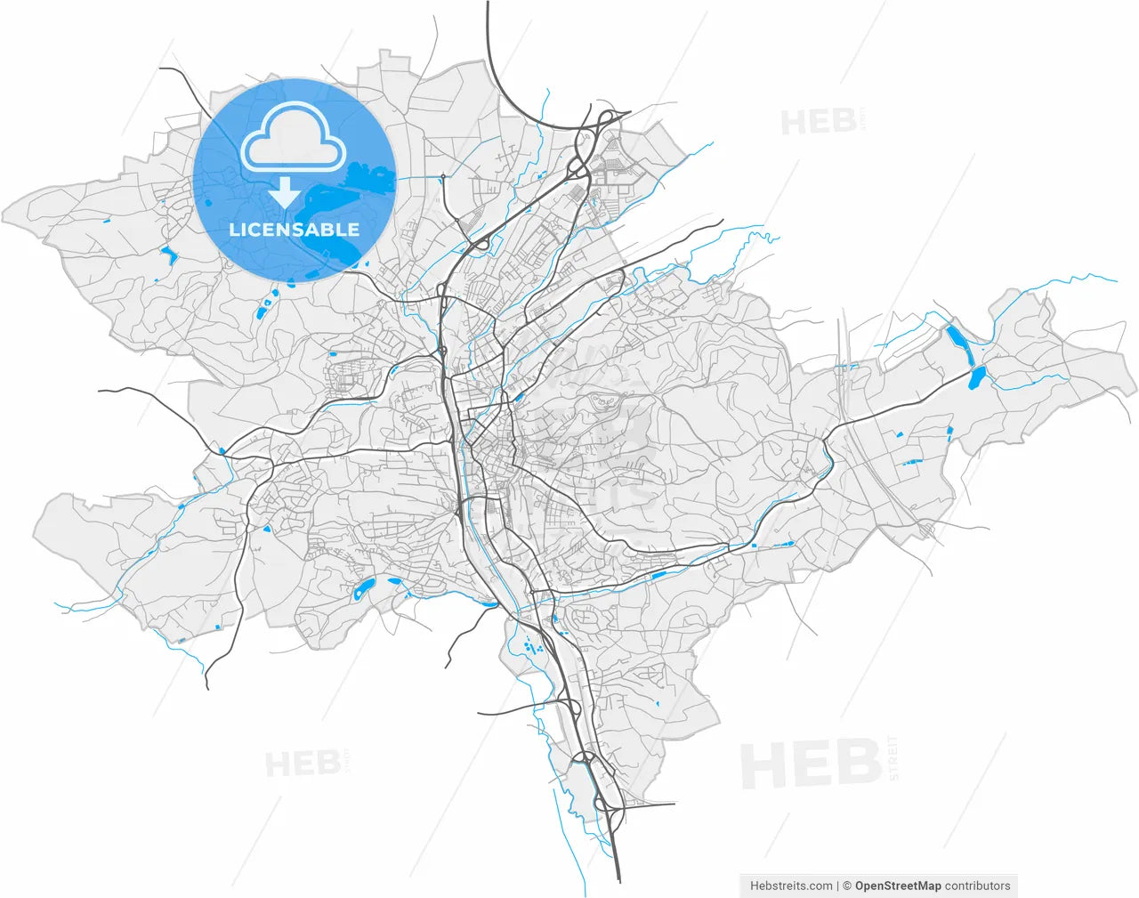 Coburg, Bavaria, Germany, high resolution vector map - Instant download PDF and JPG