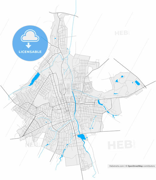 Bakhmut, Donetsk Oblast, Ukraine, high resolution vector map - Instant download PDF and JPG