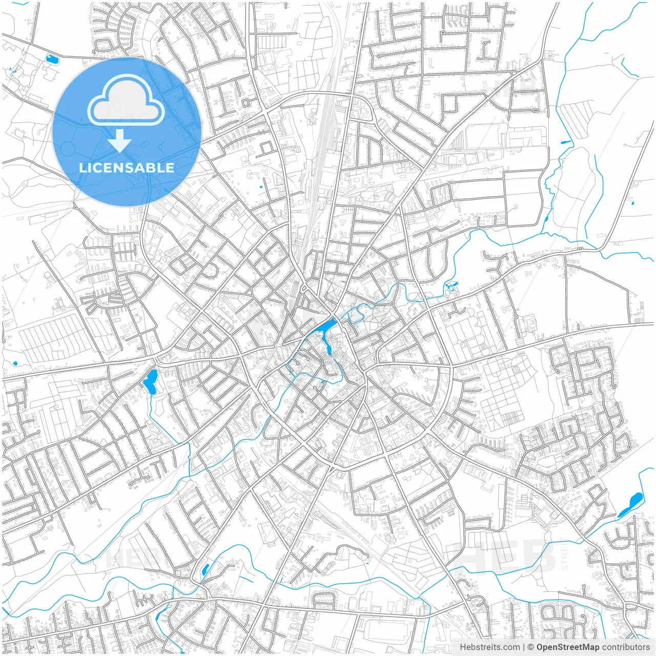 Neumunster, Schleswig-Holstein, Germany, city map with high resolution roads.