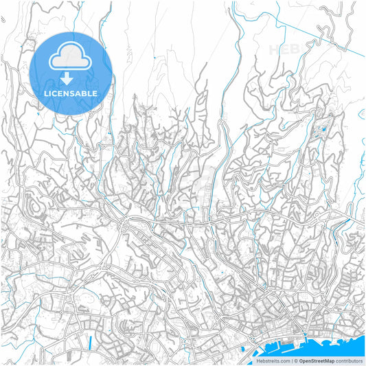 Funchal, Madeira, Portugal, city map with high resolution roads.