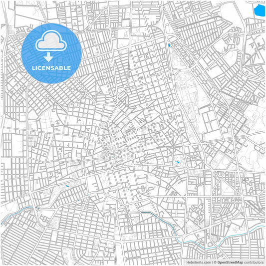 Aguascalientes, Aguascalientes, Mexico, city map with high resolution roads.
