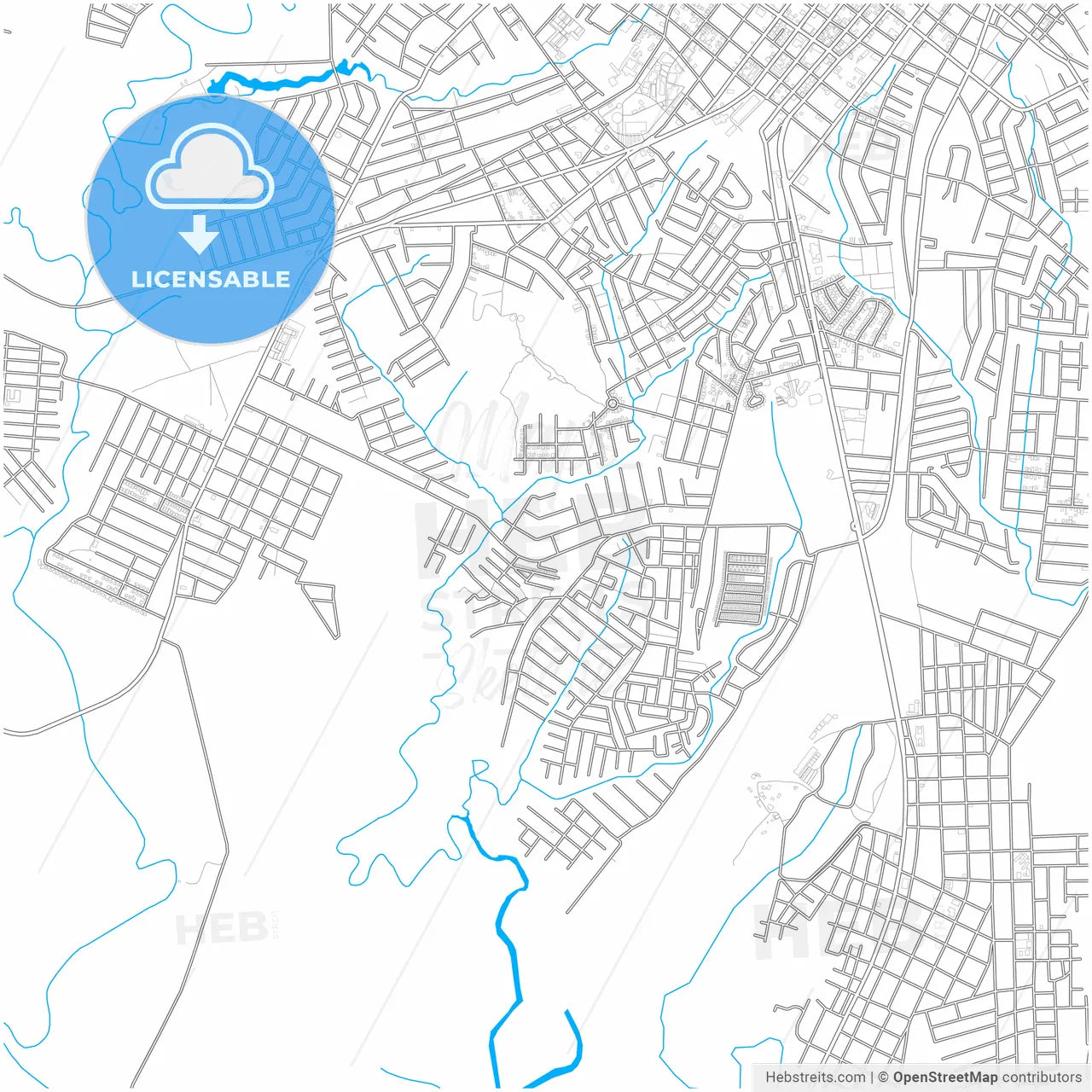 David, Chiriquí, Panama, city map with high resolution roads.