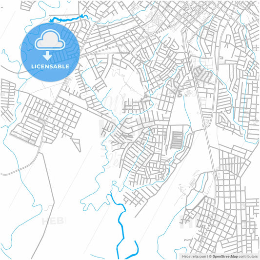 David, Chiriquí, Panama, city map with high resolution roads.
