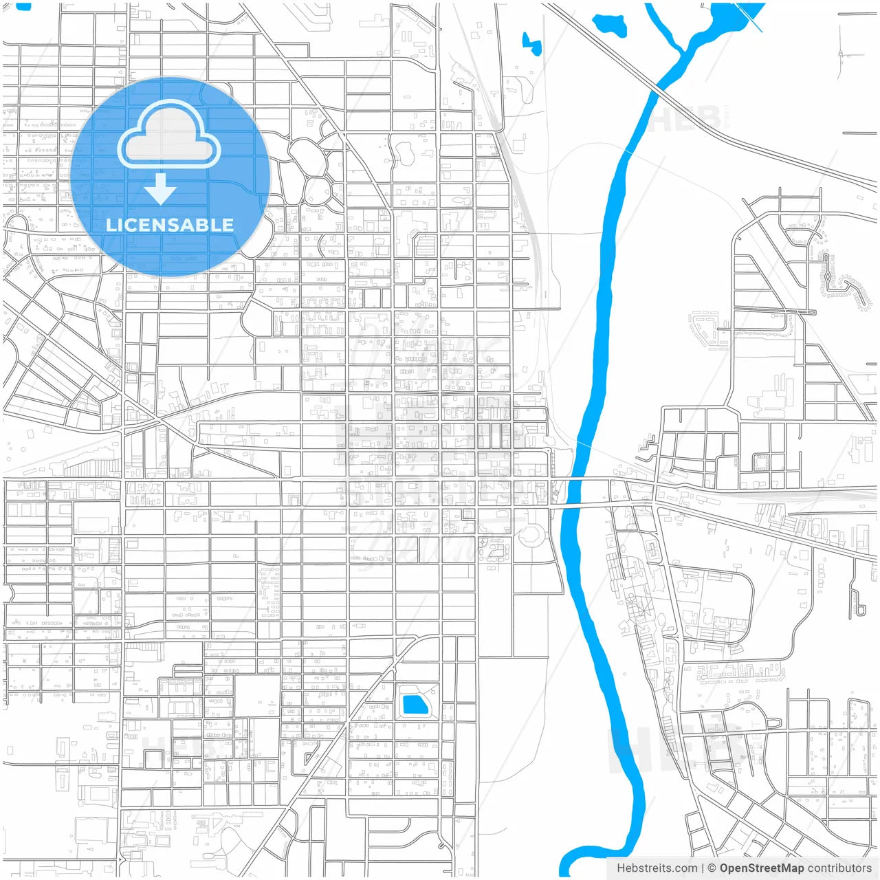 Albany, Georgia, United States, city map with high resolution roads.