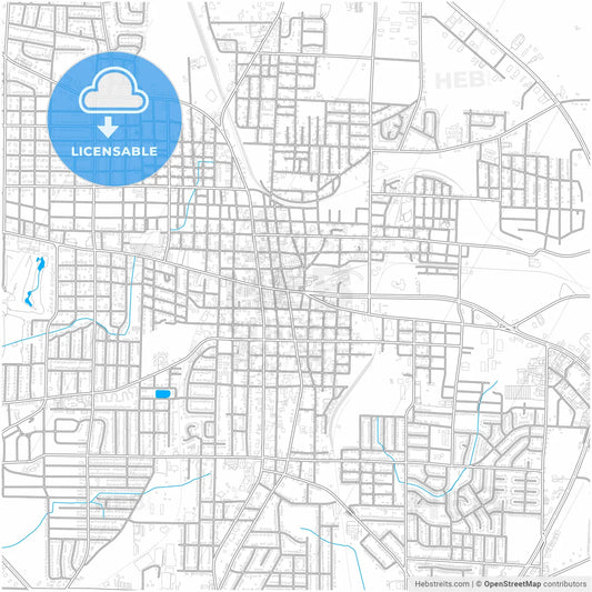 Dothan, Alabama, United States, city map with high resolution roads.