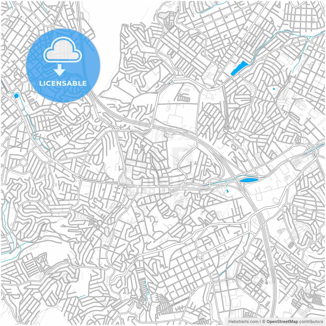 Diadema, Brazil, city map with high resolution roads.