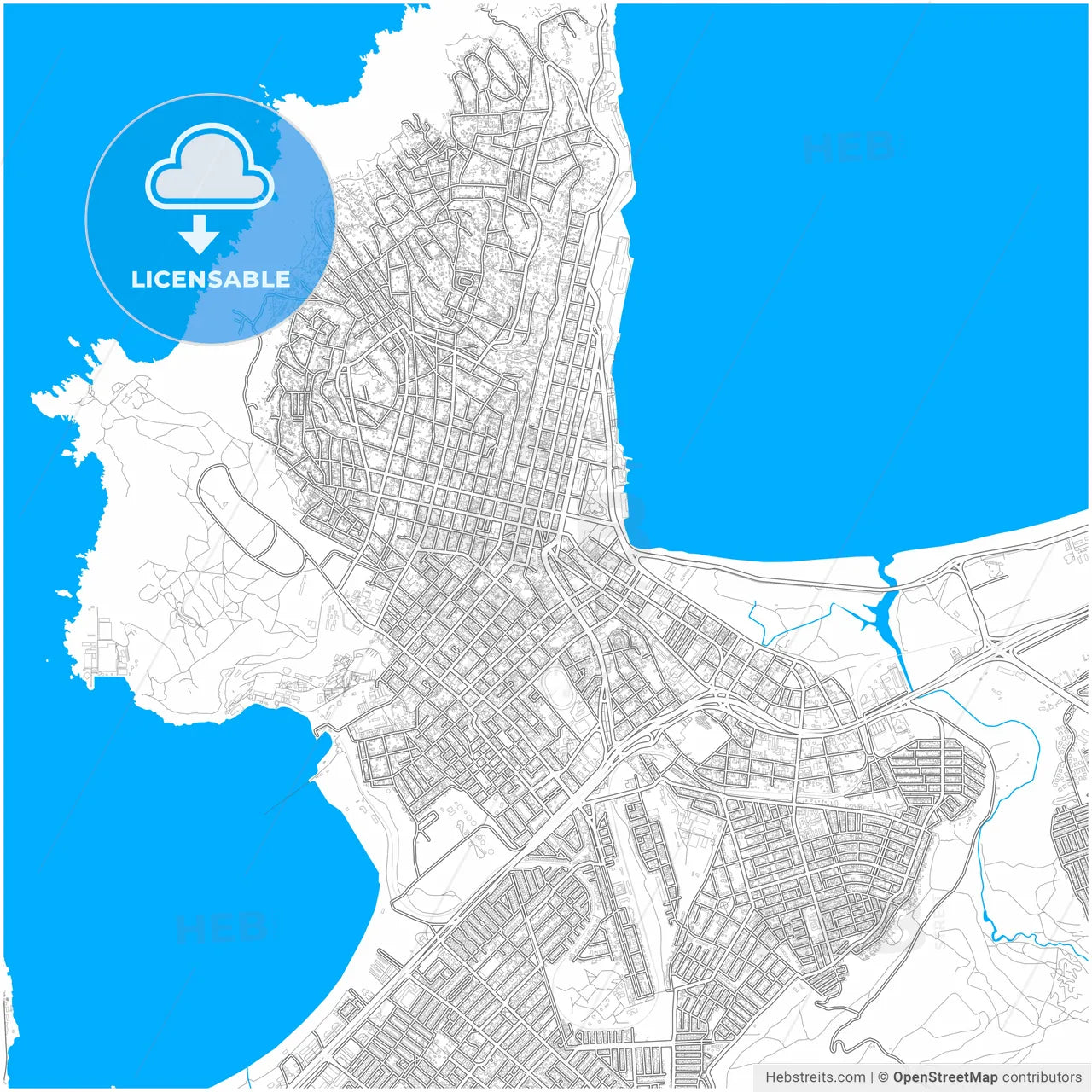 Coquimbo, Chile, city map with high resolution roads.