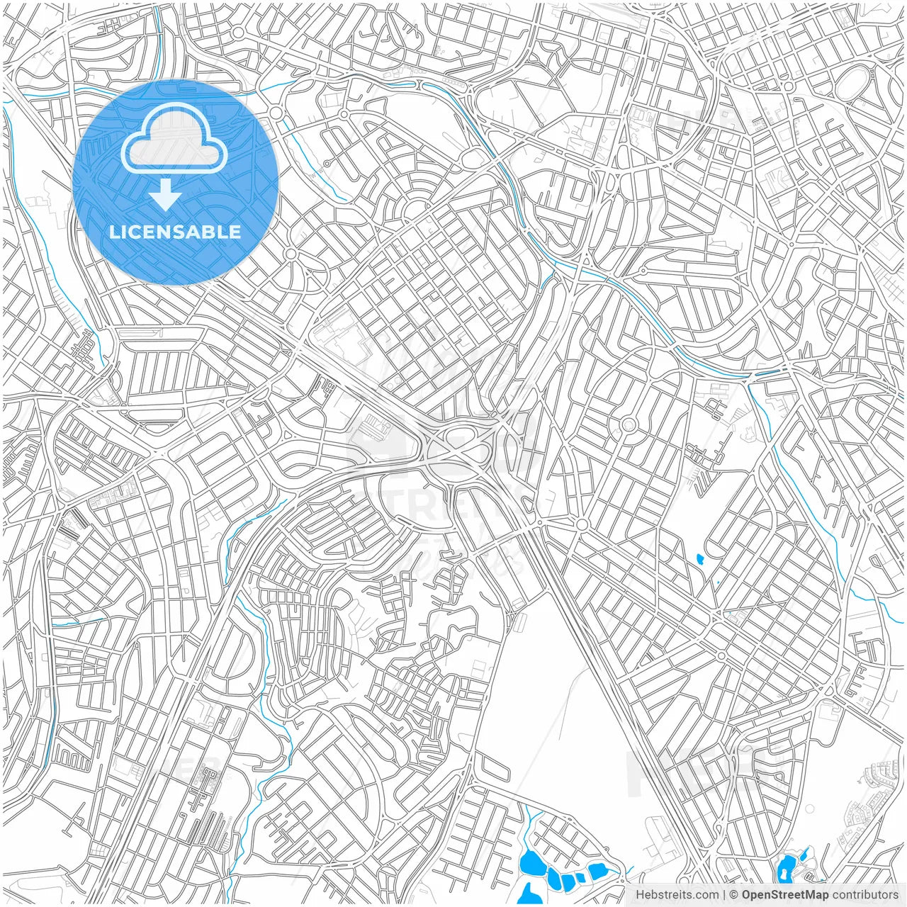 Campinas, Brazil, city map with high resolution roads.