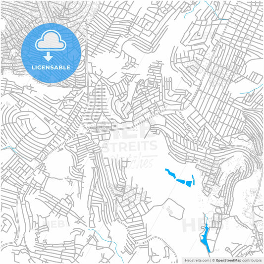 Kinshasa, DR Congo, city map with high resolution roads.