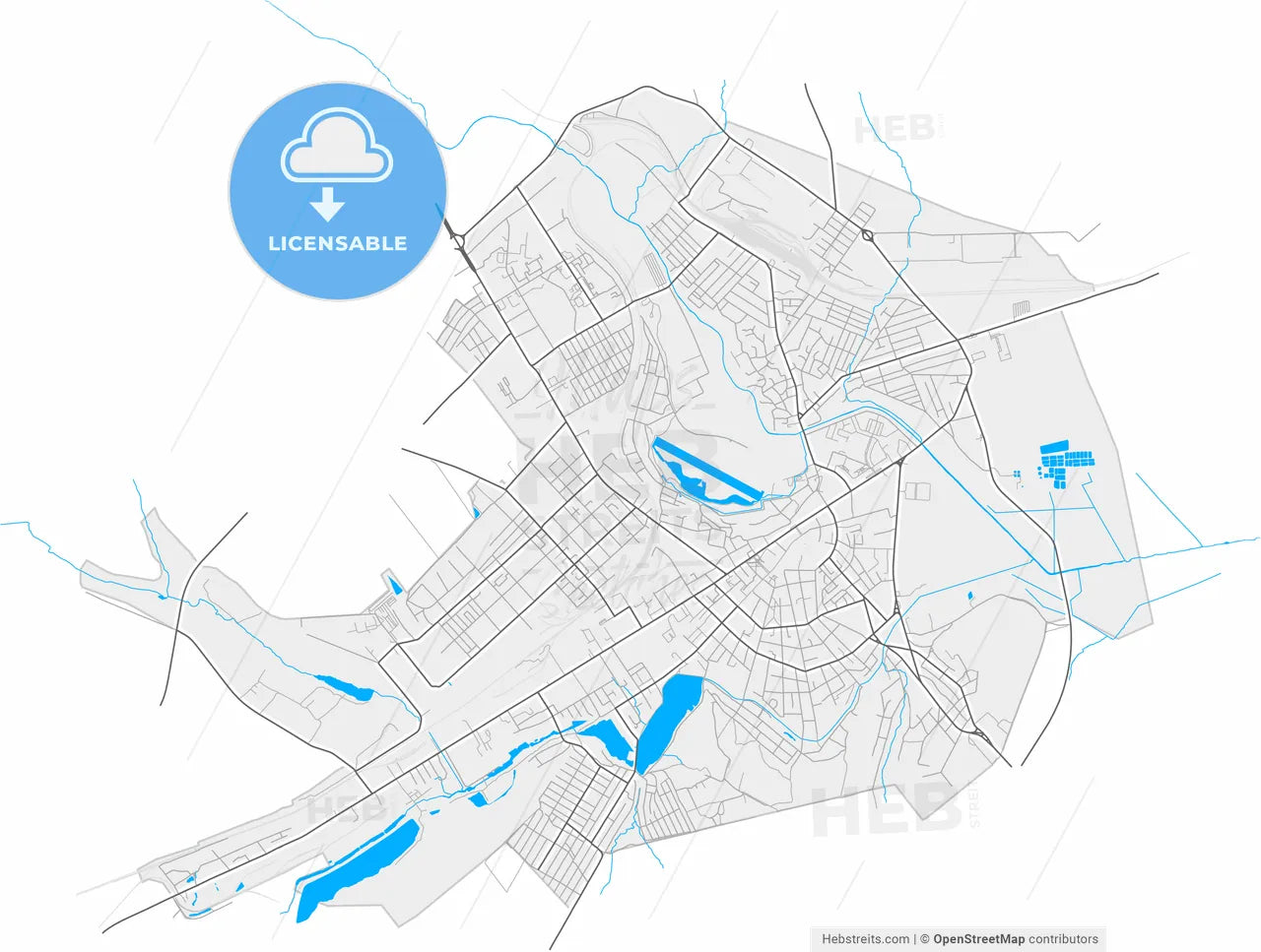 Bălți, Bălți municipality, Moldova, high resolution vector map - Instant download PDF and JPG