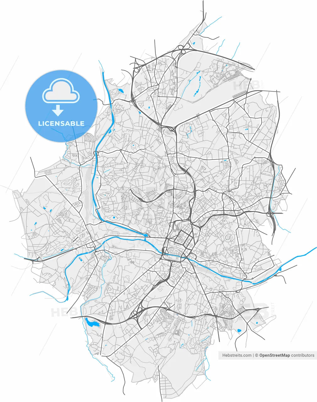 Charleroi, Hainaut, Belgium, high resolution vector map - Instant download PDF and JPG