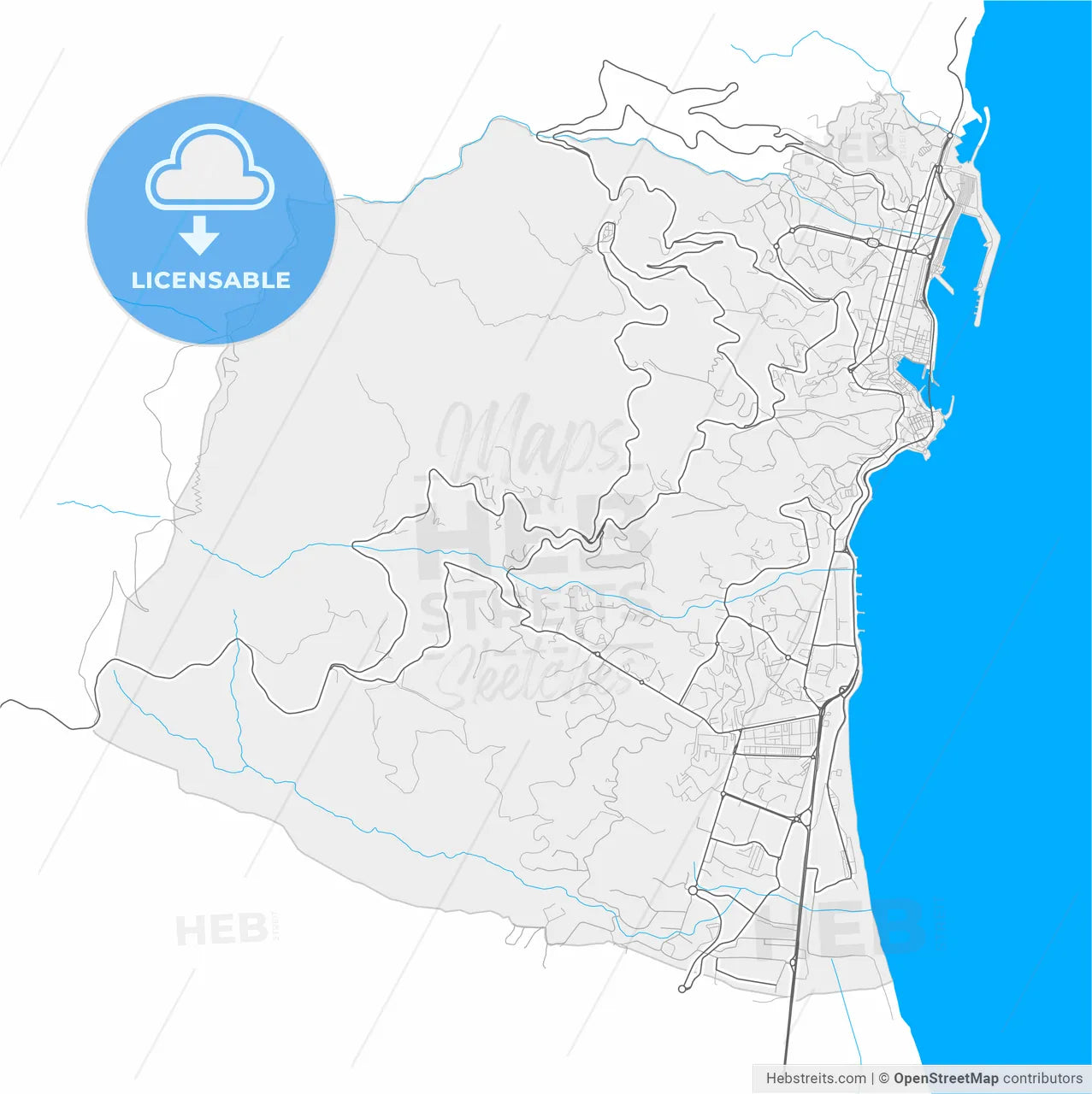 Bastia, Haute-Corse, France, high resolution vector map - Instant download PDF and JPG