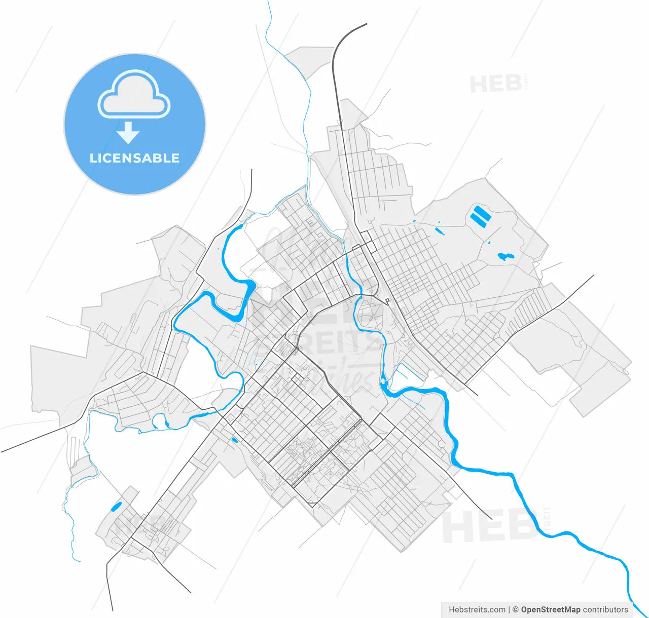 Druzhkivka, Donetsk Oblast, Ukraine, high resolution vector map - Instant download PDF and JPG