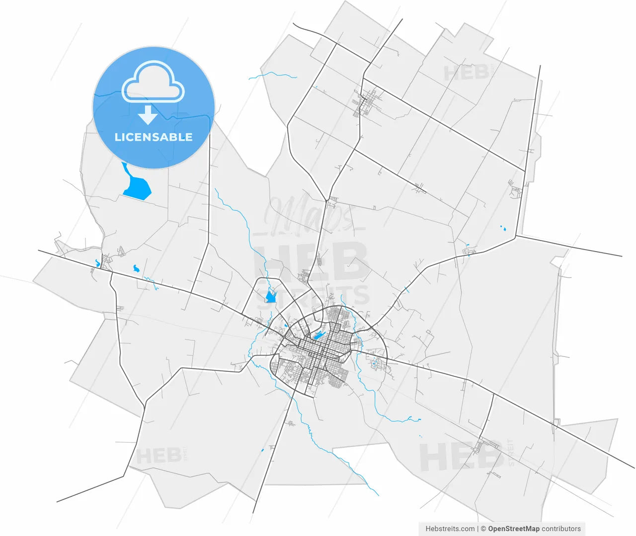 Ciego de Ávila, Ciego de Ávila, Cuba, high resolution vector map - Instant download PDF and JPG