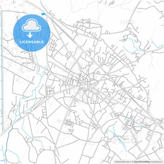 Erciş, Van, Turkey, city map with high resolution roads.