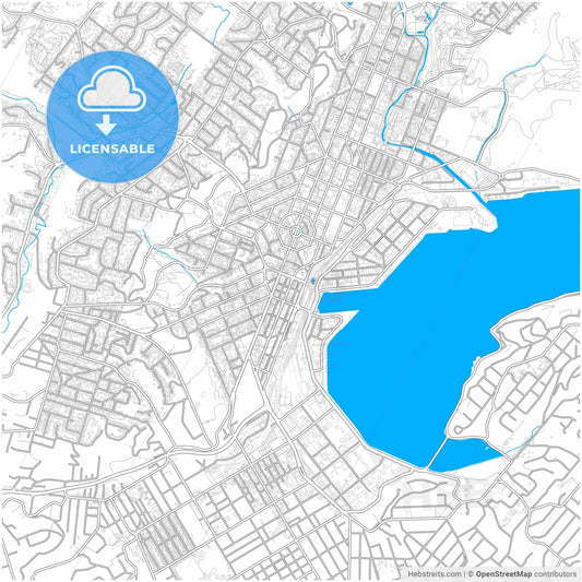 Dunedin, New Zealand, city map with high resolution roads.