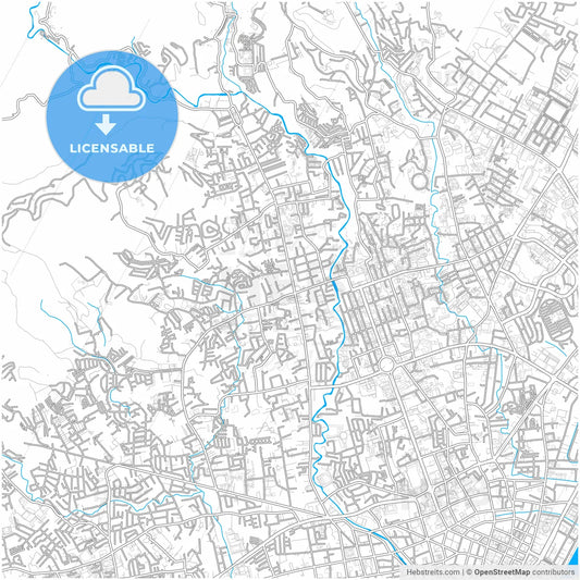 Cebu City, Cebu, Philippines, city map with high resolution roads.