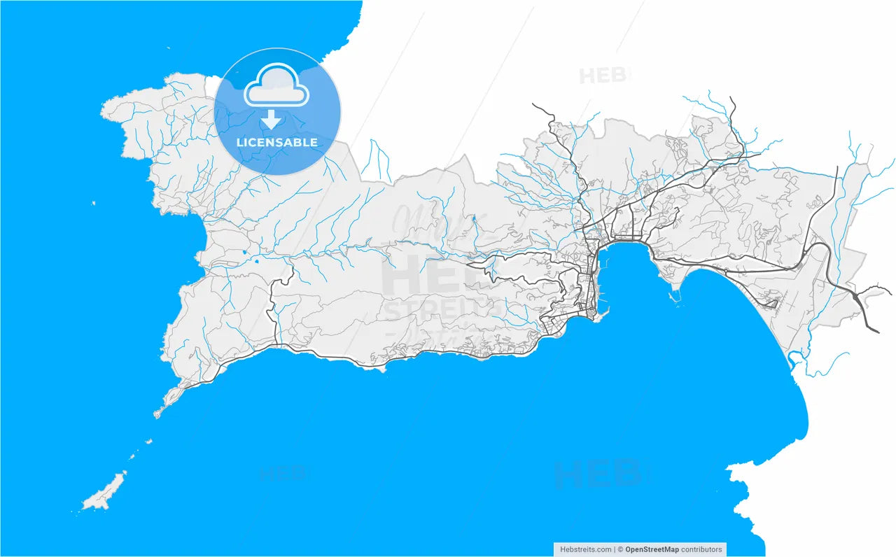 Ajaccio, Corse-du-Sud, France, high resolution vector map - Instant download PDF and JPG