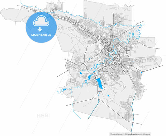 Grozny, Chechen Republic, Russia, high resolution vector map - Instant download PDF and JPG