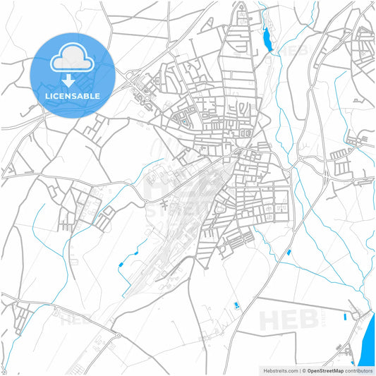 Entroncamento, Santarém, Portugal, city map with high resolution roads.