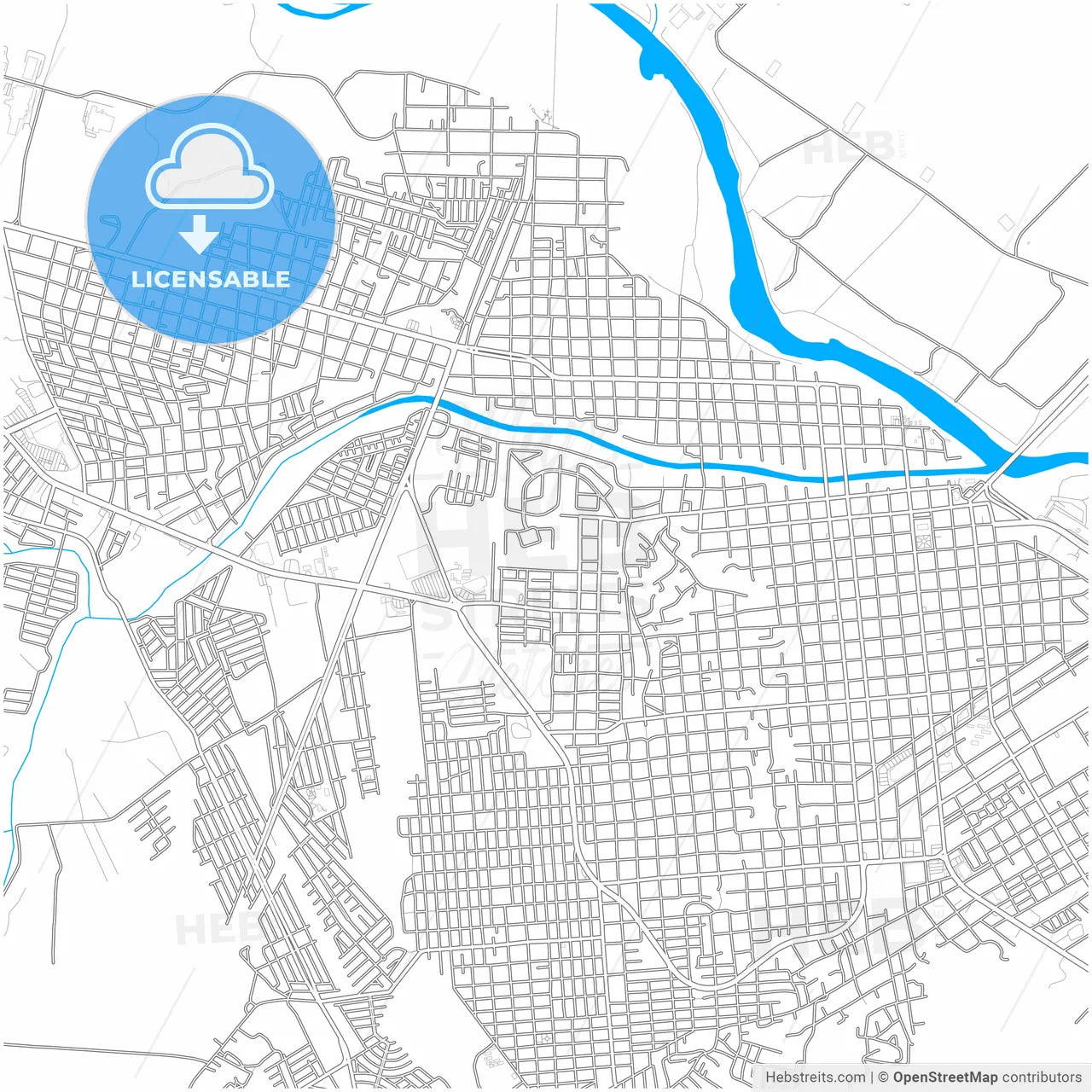 Ciudad Acuña, Coahuila, Mexico, city map with high resolution roads.