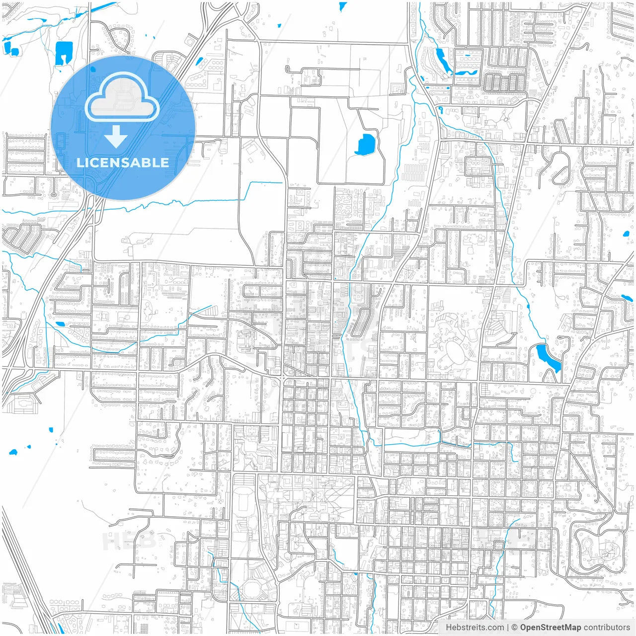 Fayetteville, Arkansas, United States, city map with high resolution roads.