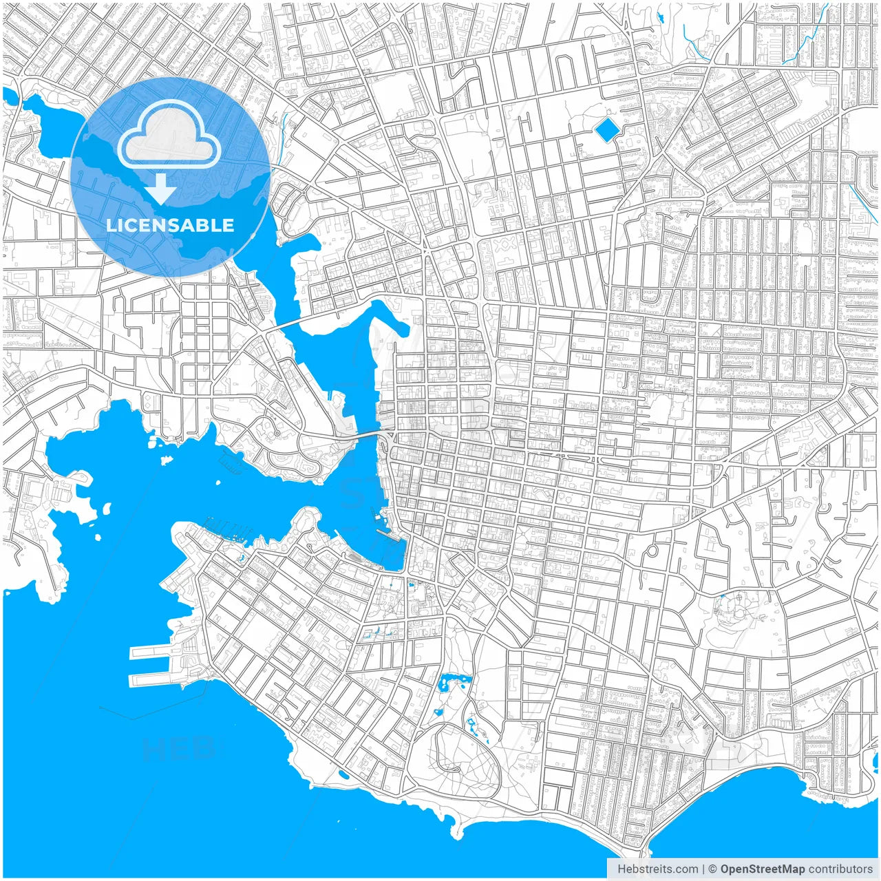 Victoria, British Columbia, Canada, city map with high resolution roads.