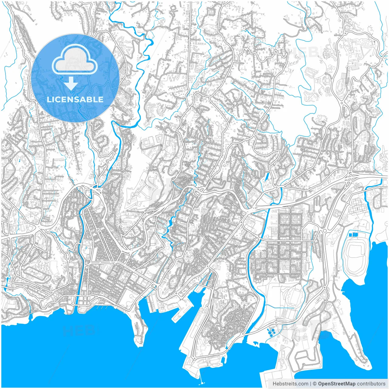 Fort-de-France, Martinique, France, city map with high resolution roads.