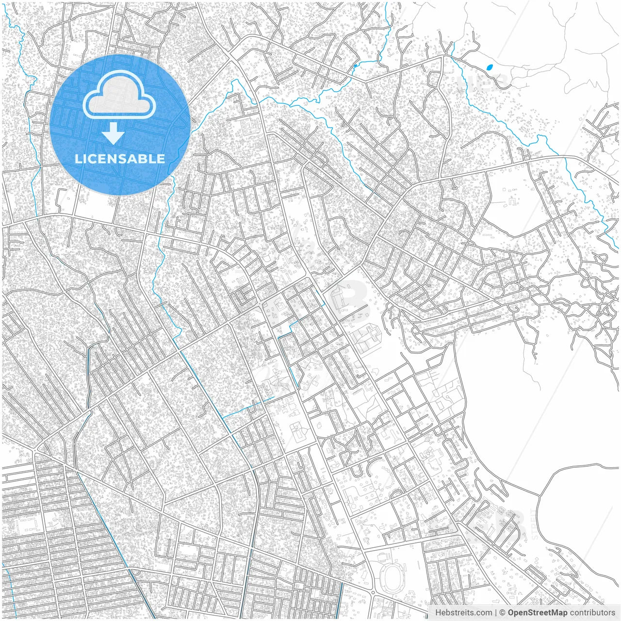 Bangui, Central African Republic, city map with high resolution roads.