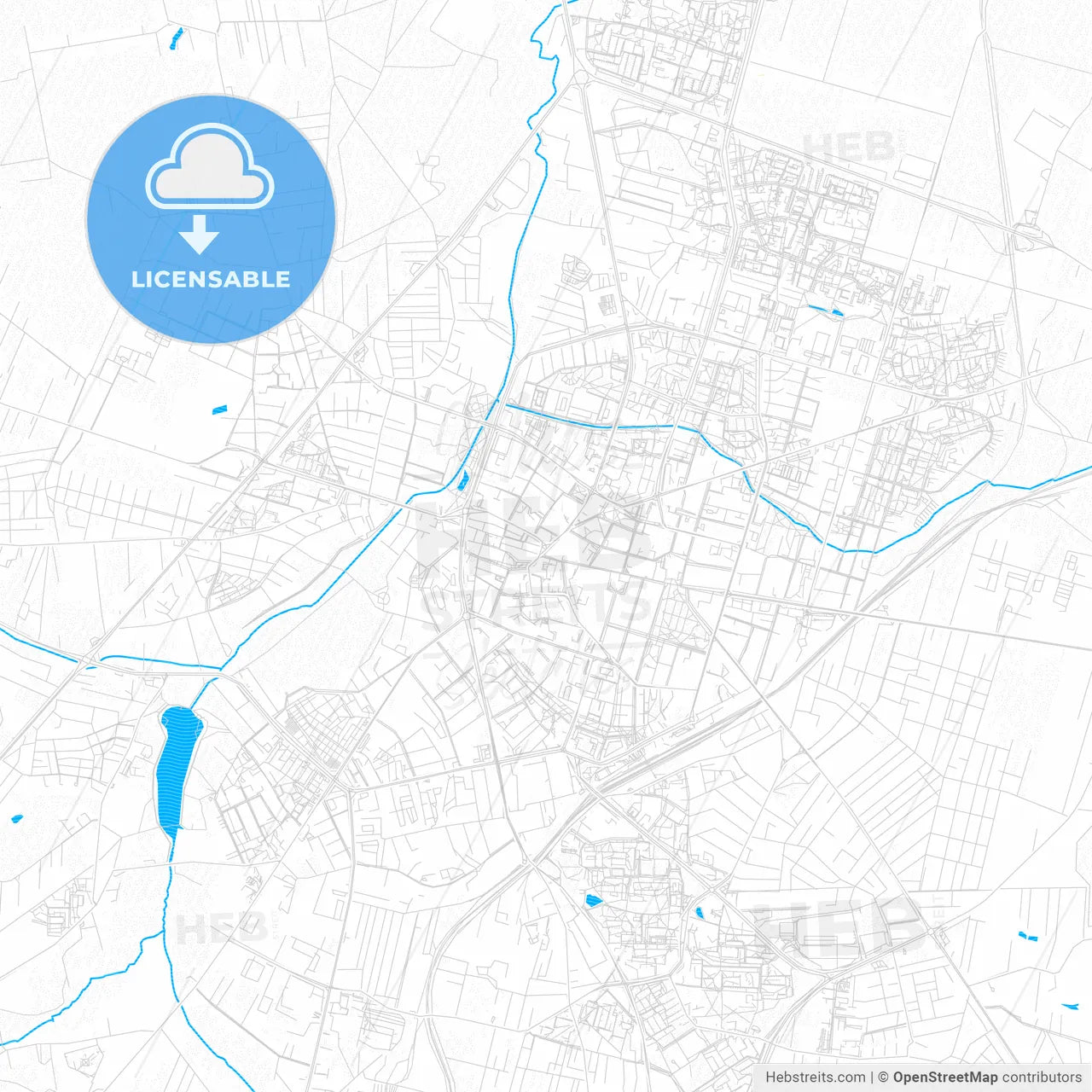 Radom, Poland PDF vector map with water in focus