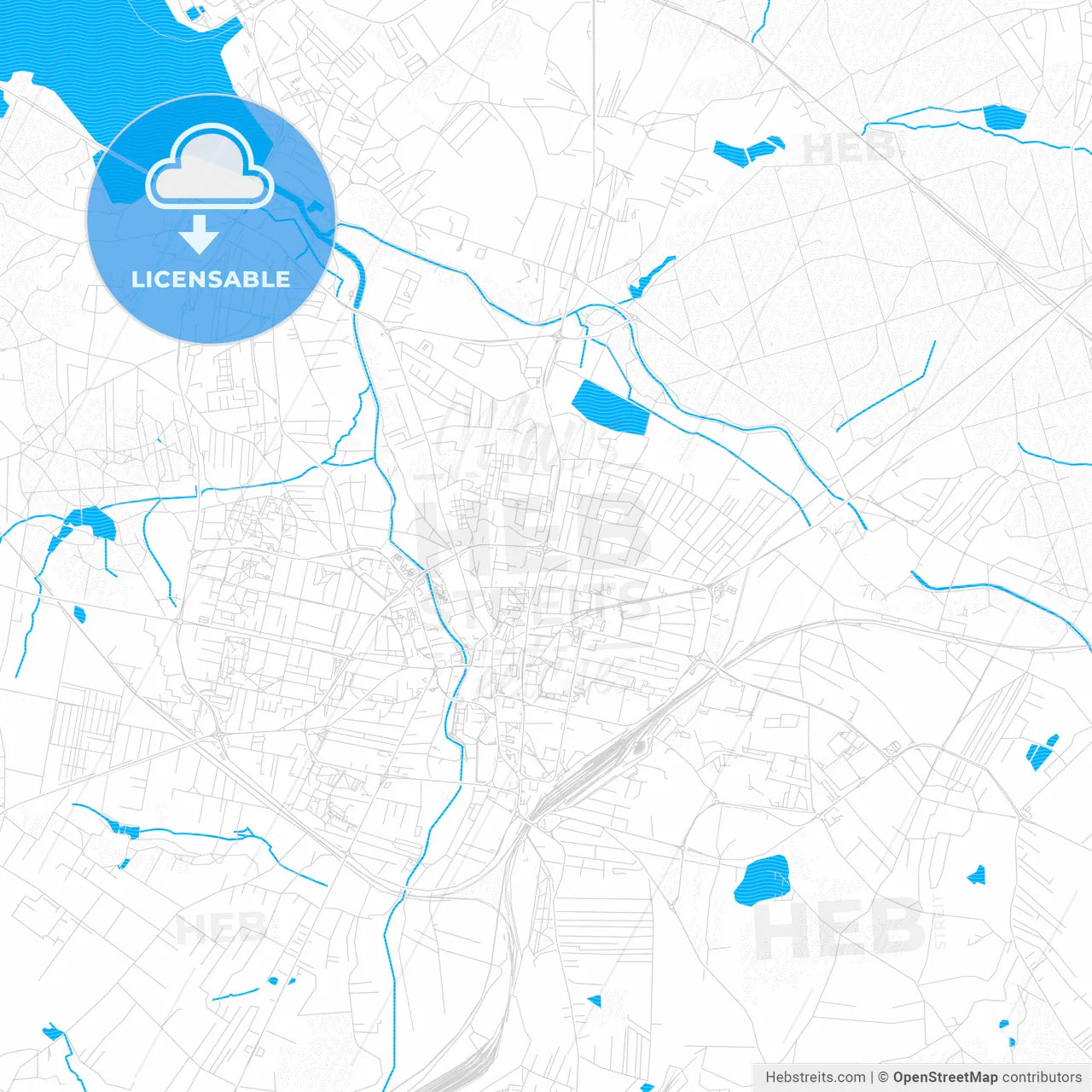 Rybnik, Poland PDF vector map with water in focus