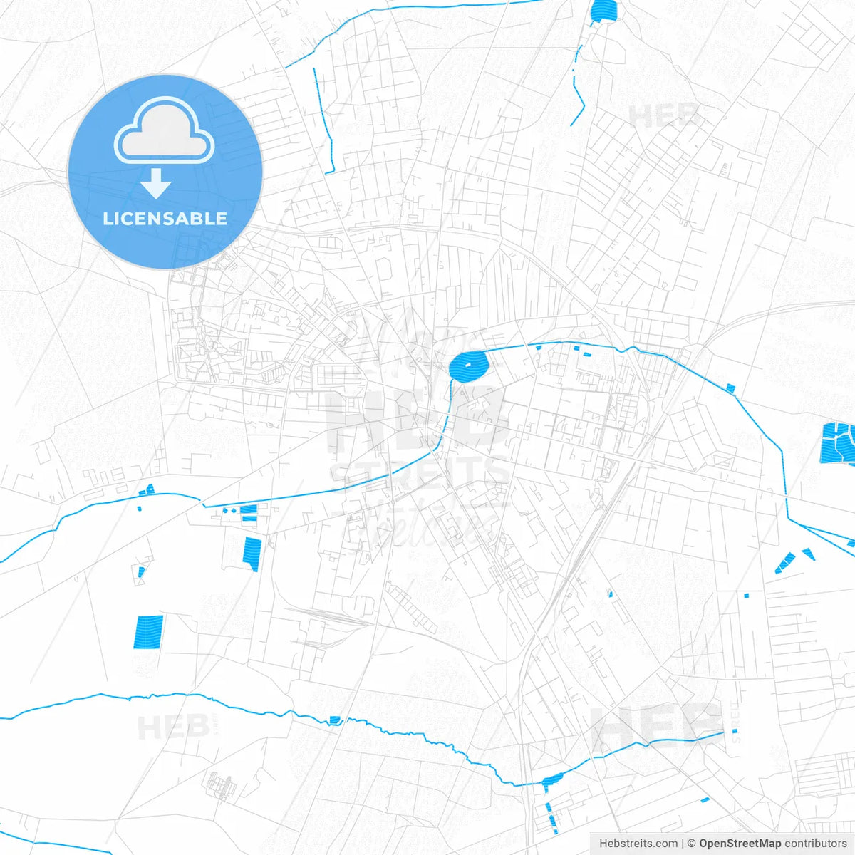 Zgierz, Poland PDF vector map with water in focus