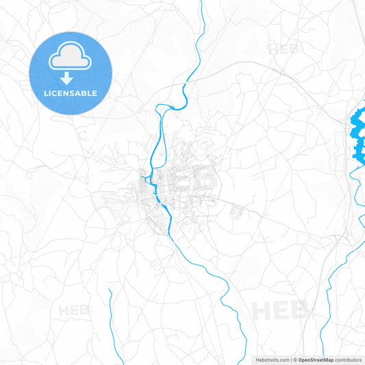 Tomar, Portugal PDF vector map with water in focus