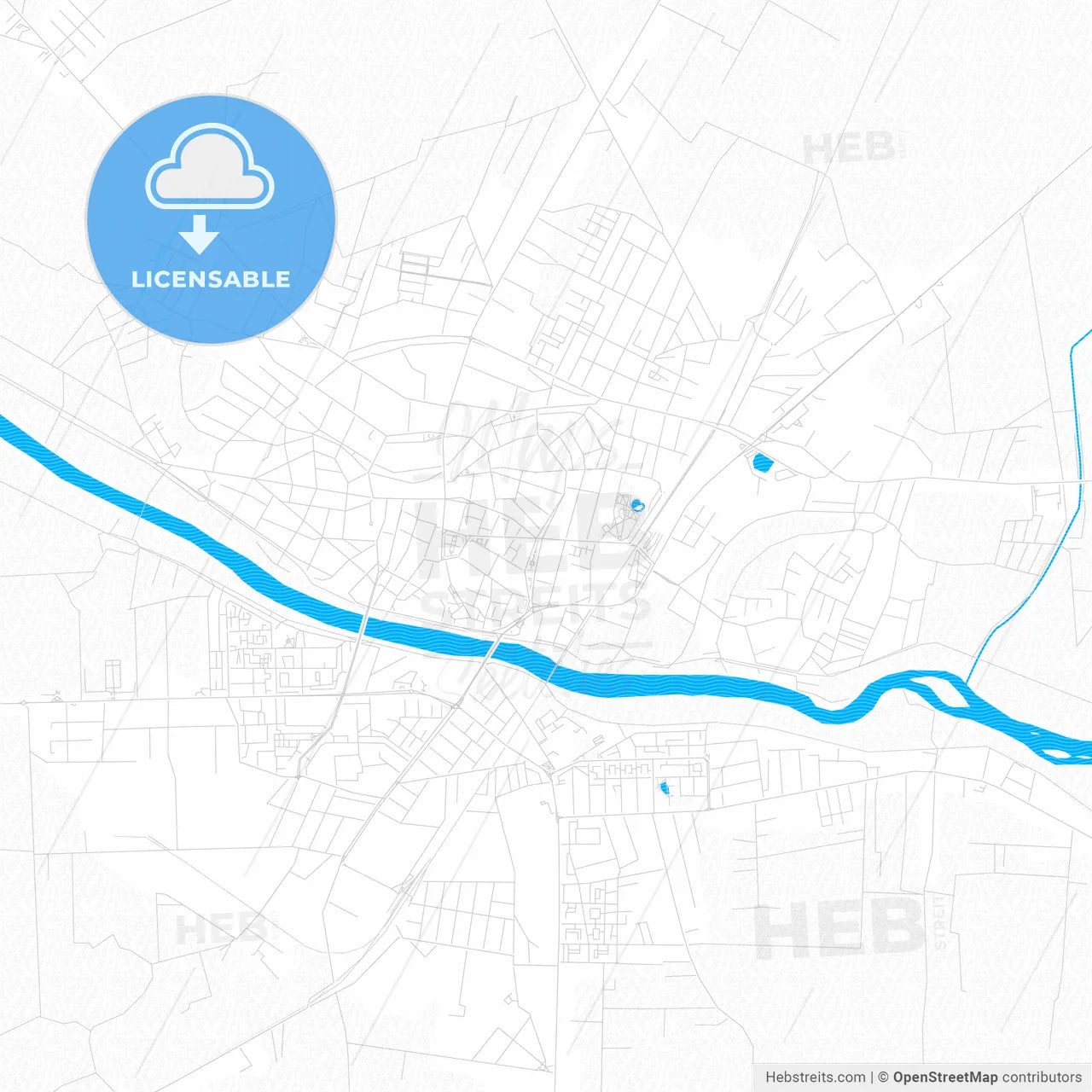 Satu Mare, Romania PDF vector map with water in focus