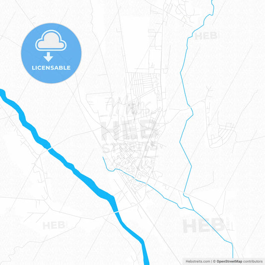 Vaslui, Romania PDF vector map with water in focus