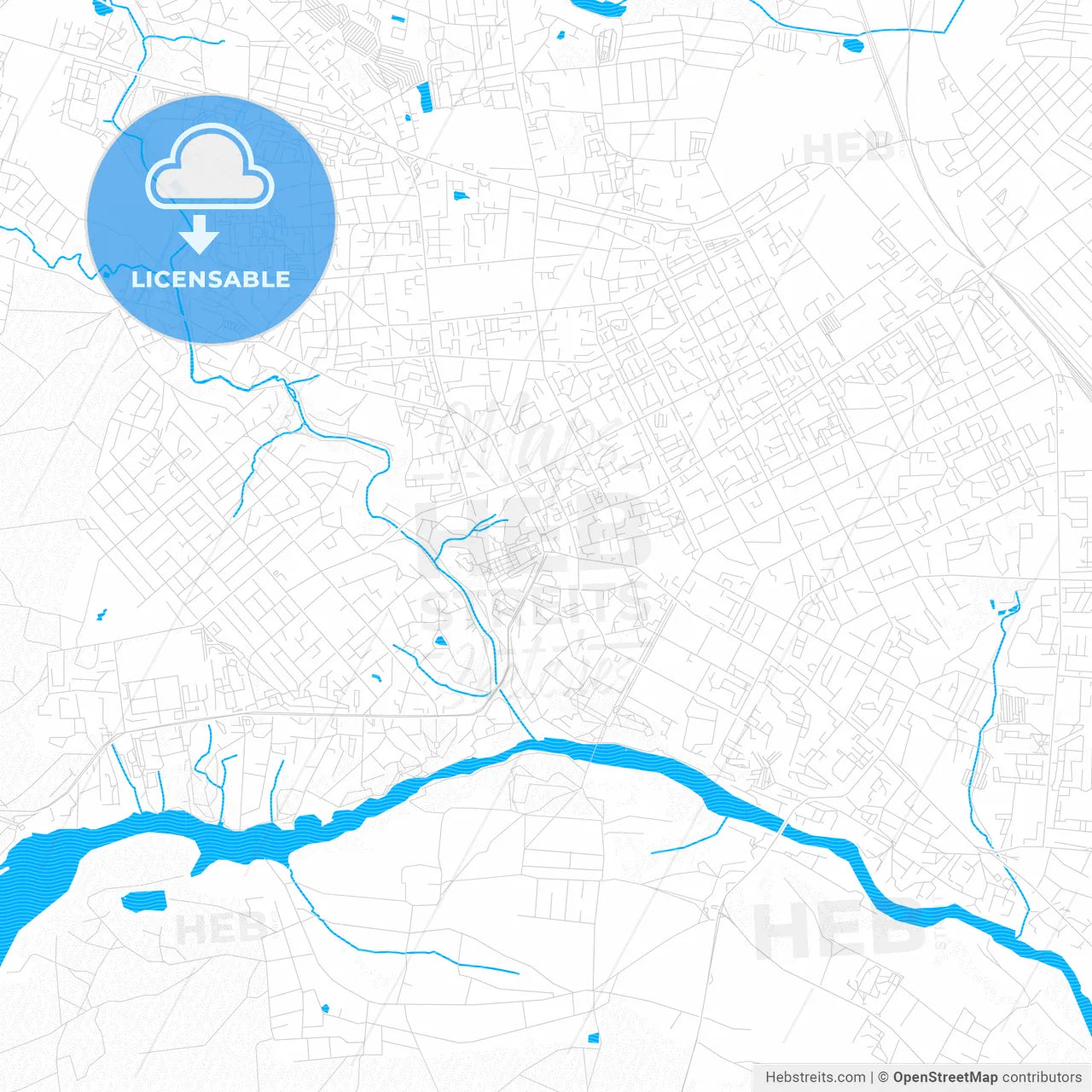 Zhytomyr, Ukraine PDF vector map with water in focus