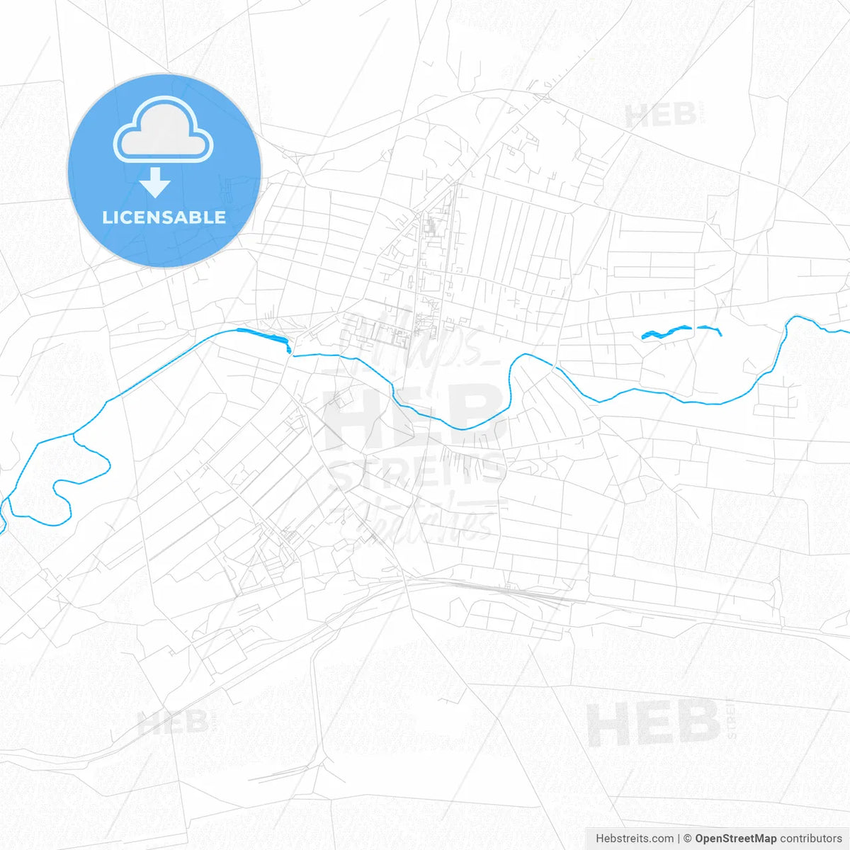 Tokmak, Ukraine PDF vector map with water in focus