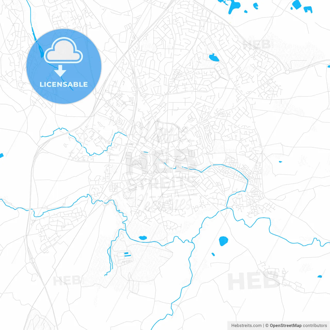 Wrexham, Wales PDF vector map with water in focus