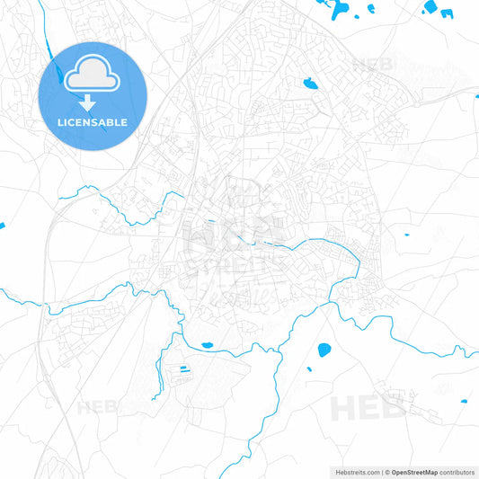 Wrexham, Wales PDF vector map with water in focus
