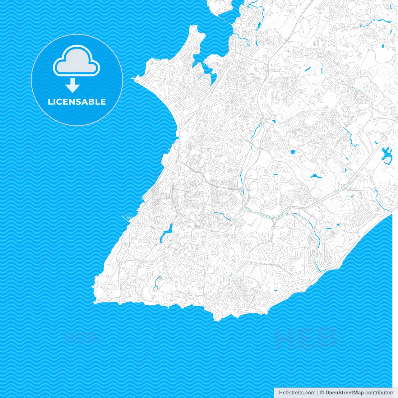 Salvador, Brazil PDF vector map with water in focus