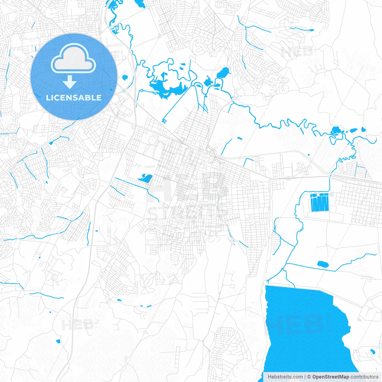 Suzano, Brazil PDF vector map with water in focus