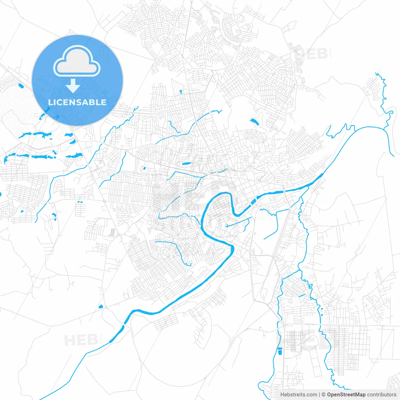 Rio Branco, Brazil PDF vector map with water in focus