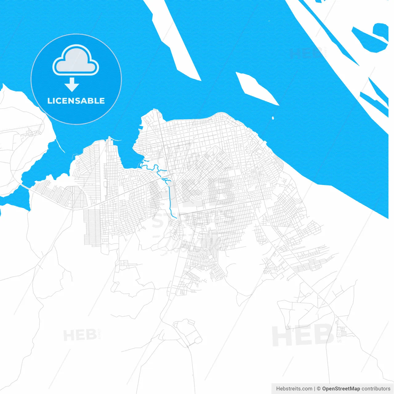 Santarem, Brazil PDF vector map with water in focus