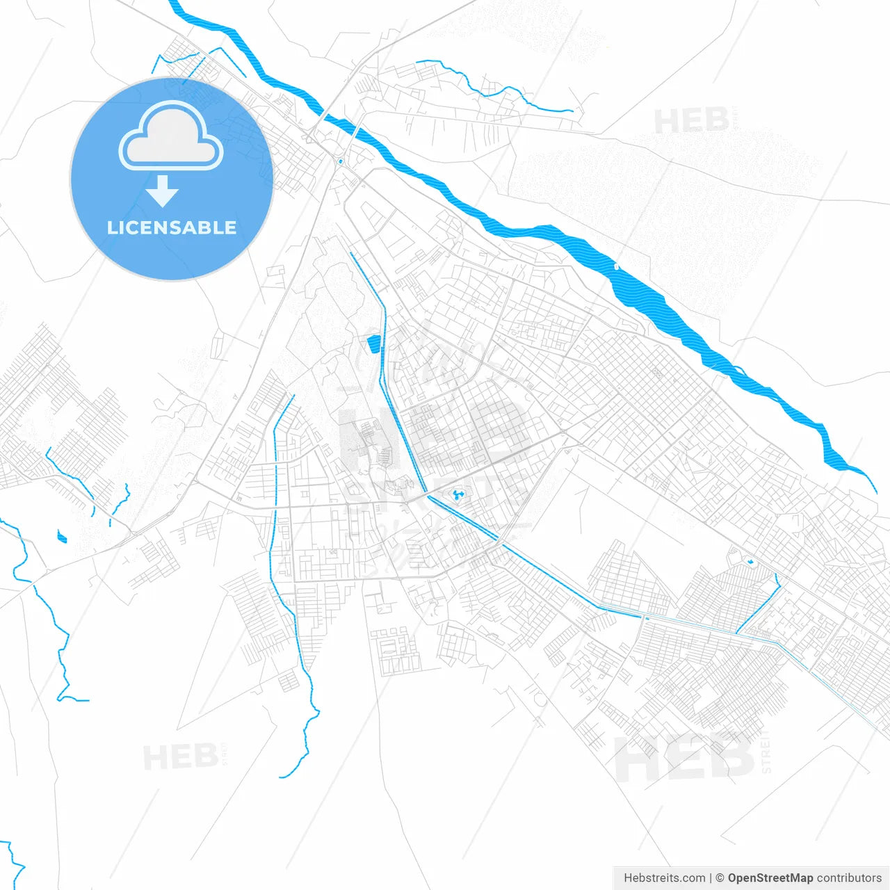 Barinas, Venezuela PDF vector map with water in focus