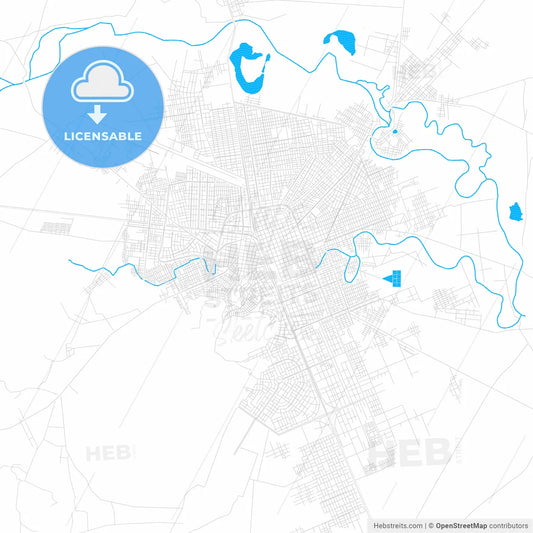Juliaca, Peru PDF vector map with water in focus
