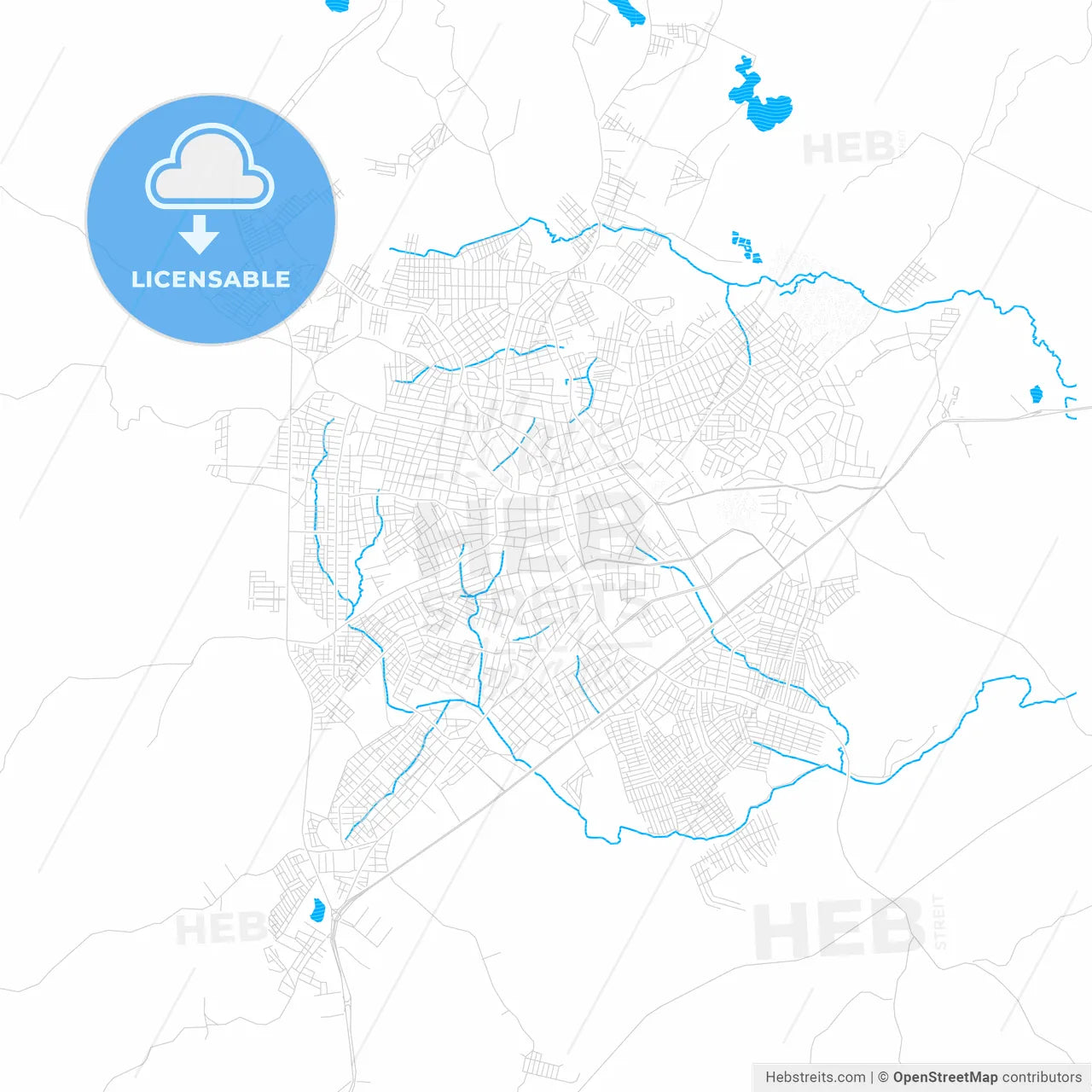 Sincelejo, Colombia PDF vector map with water in focus