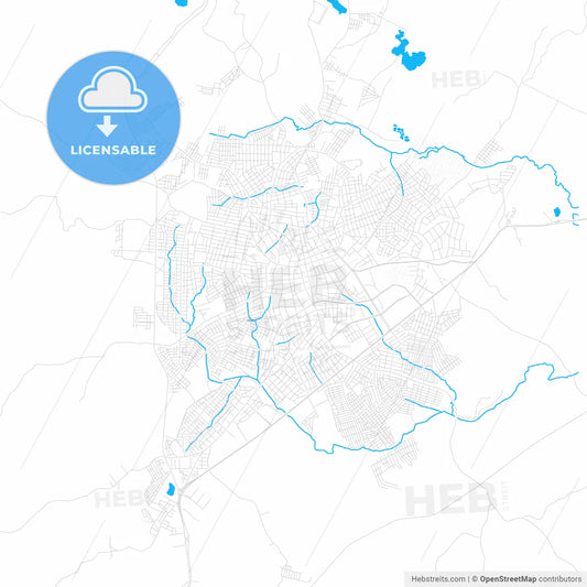 Sincelejo, Colombia PDF vector map with water in focus