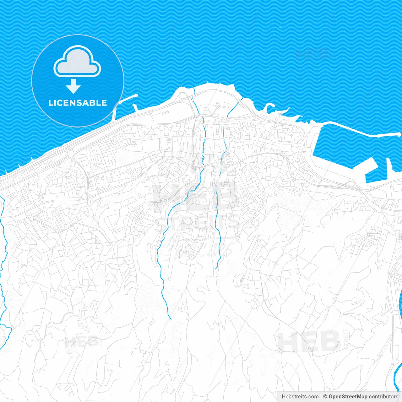 Trabzon, Turkey PDF vector map with water in focus