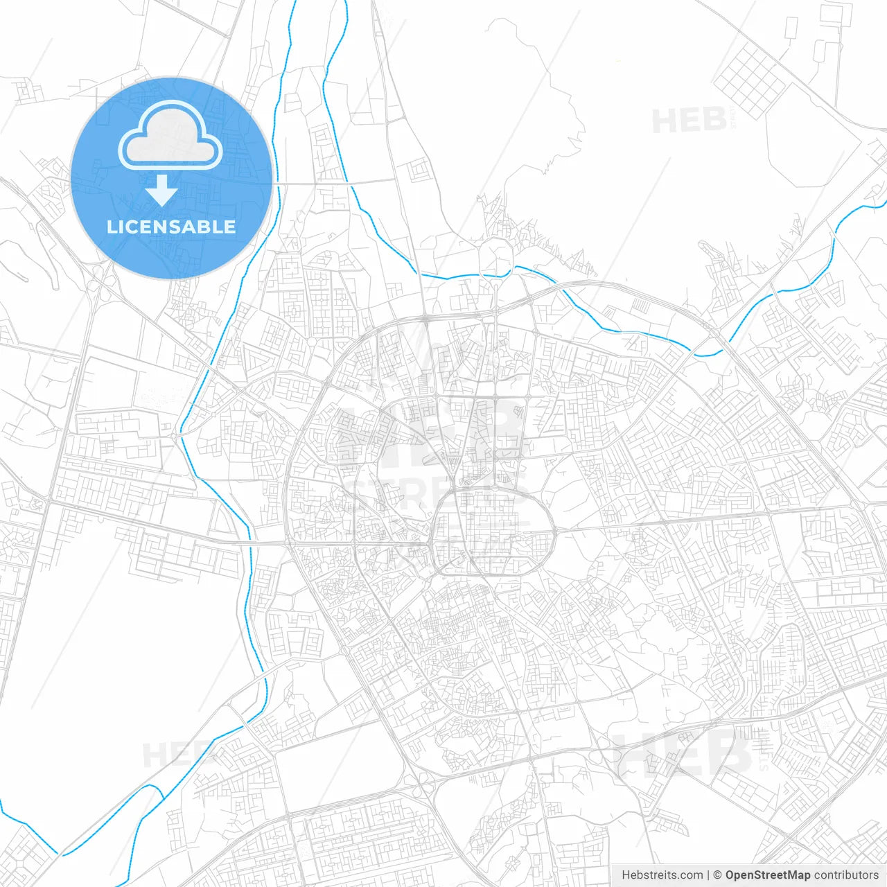 Medina, Saudi Arabia PDF vector map with water in focus